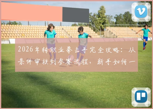 2026年转职业拳击手完全攻略：从条件审核到参赛流程，新手如何一步步拿到WBA_WBC_IBF_WBO拳王金腰带